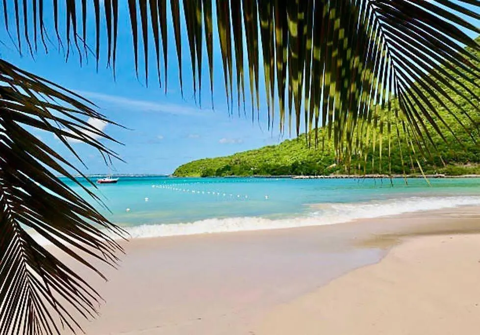 Apartment Studio :Paradise Beach Anse Marcel