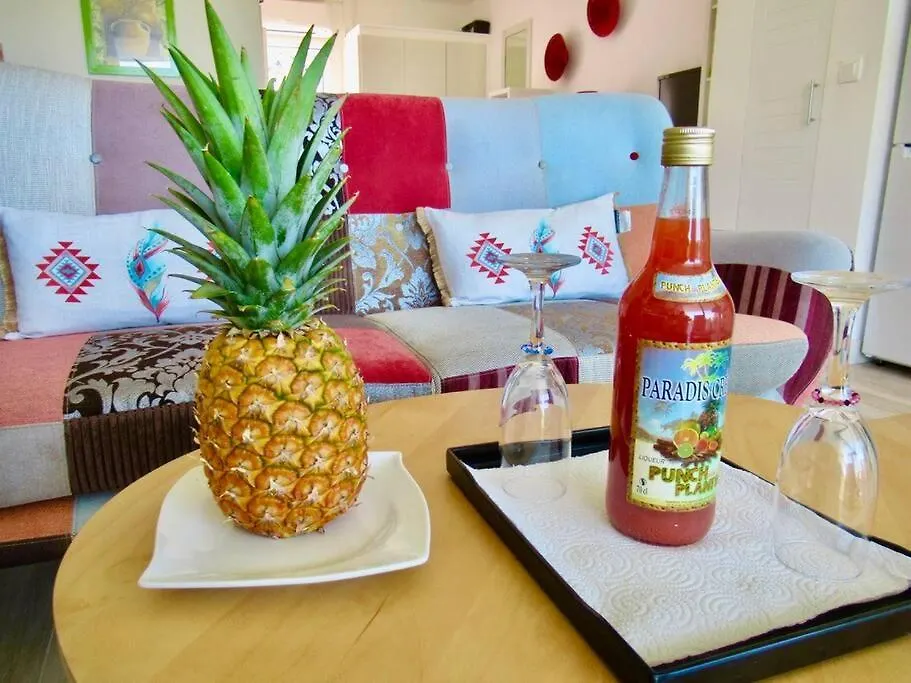 Apartment Studio :Paradise Beach Anse Marcel
