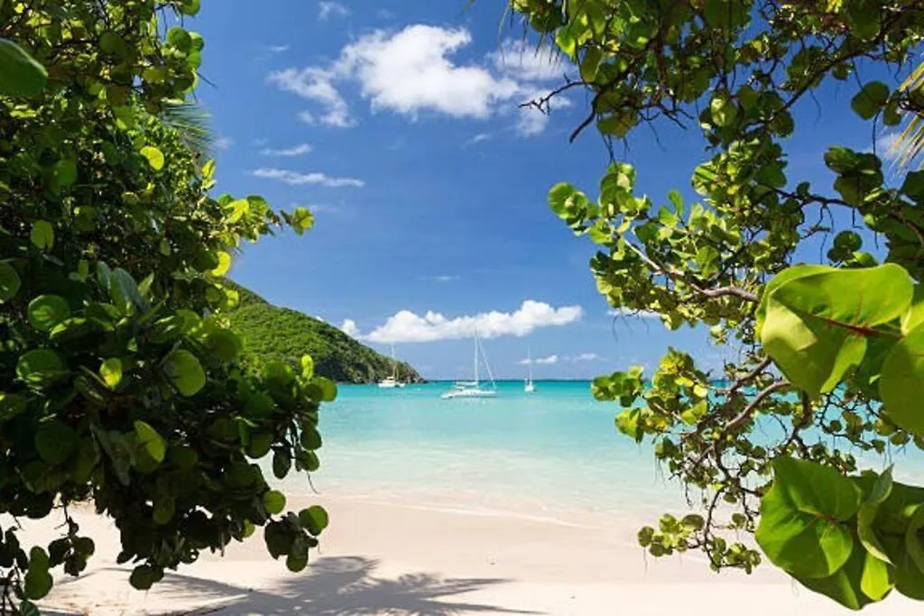 Studio :Paradise Beach Anse Marcel
